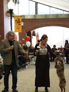 Dogs Parade At New Canaan's Village At Waveny Care Center