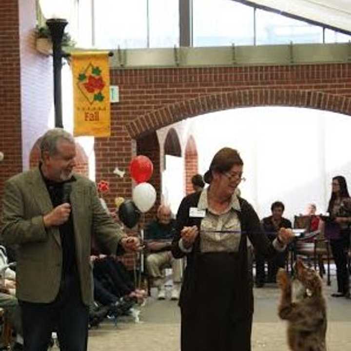 Blue, an Australian miniature shepherd was one of the dogs that recently paraded down &quot;Main Street&quot; at The Village of Waveny Care Center. Blue is pictured with owner Debbie Perron, director of volunteers, and her husband, Jeff.