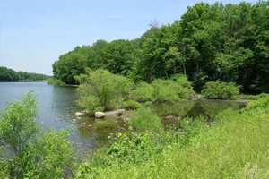 Greenwich Land Trust Celebrates With Annual Meeting, Reception