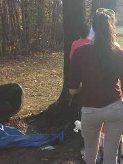 Wake, Funeral Service Scheduled For Port Chester Crash Victim