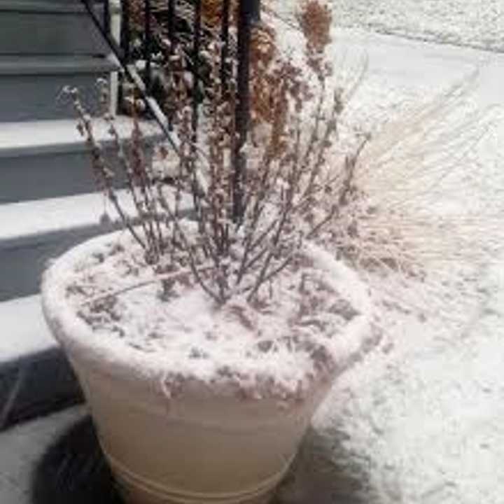 Watch your step as you head out -- snow is beginning to stick to sidewalks, driveways and roads in northern Fairfield County. 