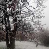 <p>The landscape in Danbury is dusted with a coating of wet snow on Wednesday morning.</p>