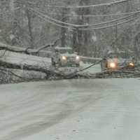 <p>A stretch of Route 202 in Yorktown Heights at the intersection of Baldwin Road near the police station is blocked by a downed tree.</p>