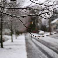 <p>A snow-covered street in Bronxville on Wednesday.</p>