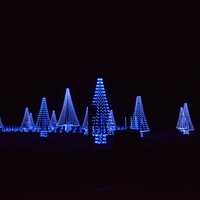 <p>Westchester&#x27;s first Winter Wonderland is awash in holiday lights.</p>