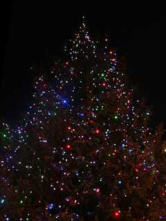 Putnam Valley Celebrates Annual Tree Lighting Ceremony
