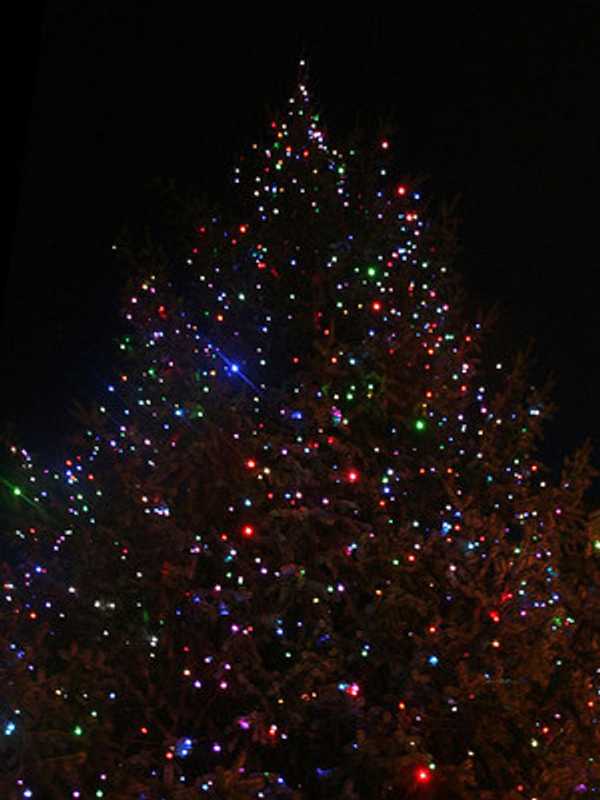 Putnam Valley Celebrates Annual Tree Lighting Ceremony