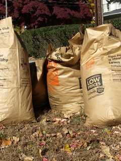 Norwalk Begins Spring Yard Waste Collection In May