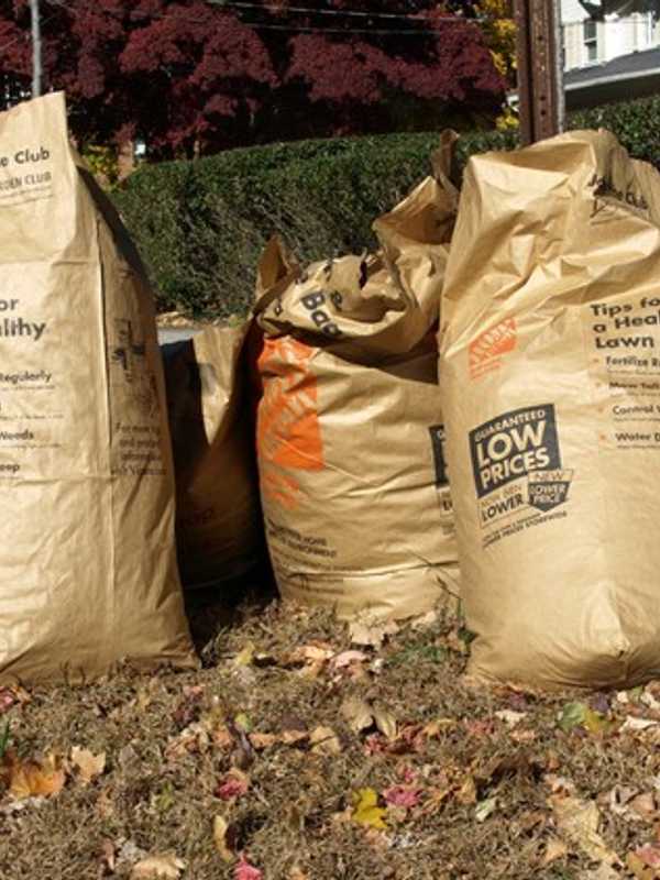 Norwalk Begins Spring Yard Waste Collection In May