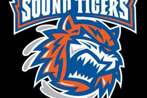 Bridgeport Sound Tigers Announce Roster Moves