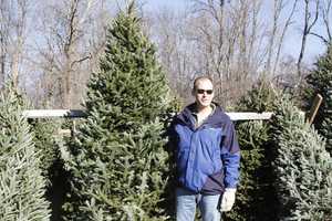 Chappaqua Church Sells Christmas Trees, Wreaths