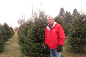 Yorktown Farm Gets Into The Christmas Spirit