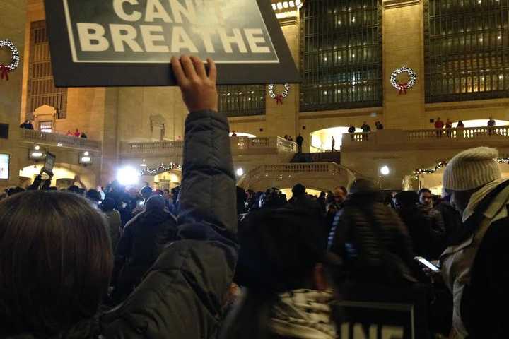 Peekskill Councilman Takes Part In Protests In Grand Central Terminal