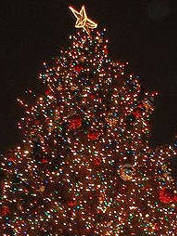 Sen. Klein, Fleetwood Neighborhood Assoc. Host Mount Vernon's Tree Lighting