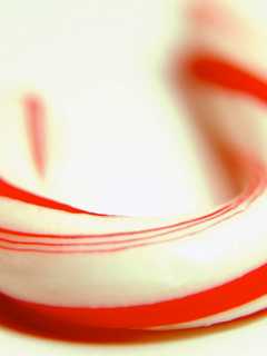 Do Candy Cane Bends And Reindeer Leaps At Shelton Library Olympics