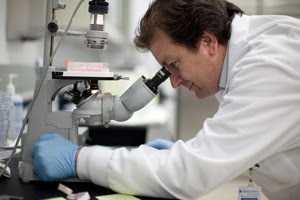 Danbury Hospital Researchers Find Viruses Could Affect Cancer Outcomes