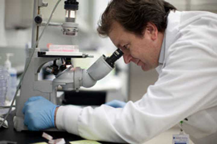 Danbury Hospital Researchers Find Viruses Could Affect Cancer Outcomes