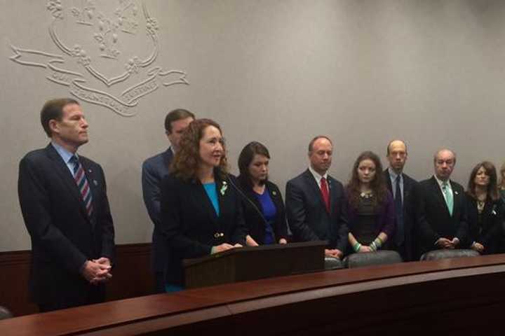 Danbury's U.S. Rep. Esty Leads Efforts For Gun Control, Mental Health Aid