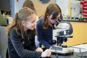 Danbury's WestConn Recognized On National Honor Roll For Community Service