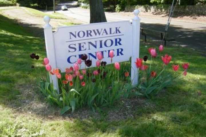 Mayor's Ball To Benefit Person-To-Person, Norwalk Senior Center