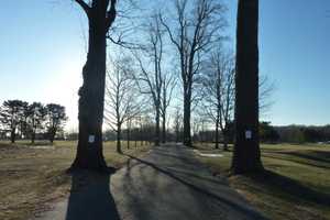 Westport Conducts Tree Inventory At Longshore Park 