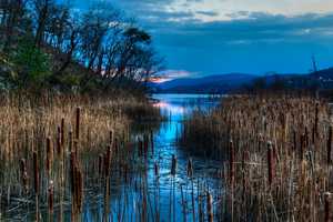 Scenic Snapshots From Cold Spring Capture Area's Beauty