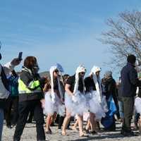 <p>Costumed participants get ready to the New Year&#x27;s Polar Plunge on Thursday morning at Compo Beach in Westport. </p>