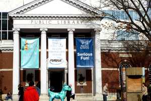 Stamford's Ferguson Library Offers New Treats For Movie Fans