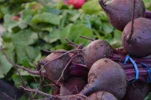 Ossining Indoor Farmers Market Opens Saturday
