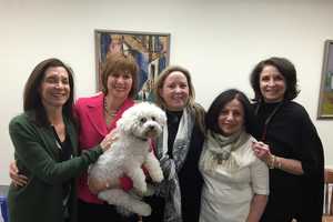 Wexler Sworn In As Probate Judge In Westport