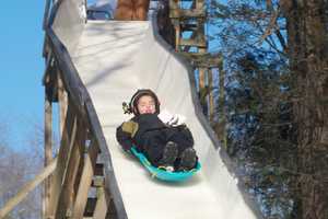 Luge Fans Flock To Olympian's Backyard Course In Ridgefield