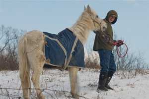 Cold Spring's Glynwood Farm Offers A Lesson In Sustainable Farming