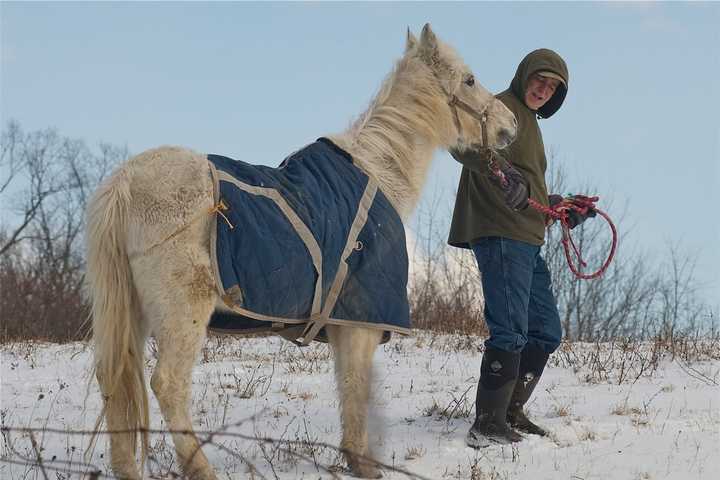 Cold Spring's Glynwood Farm Offers A Lesson In Sustainable Farming
