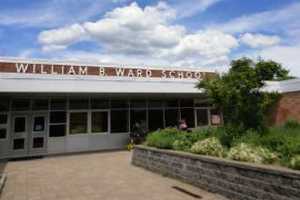 Local Tree Service Caught Dumping Debris in Back of New Rochelle Schools