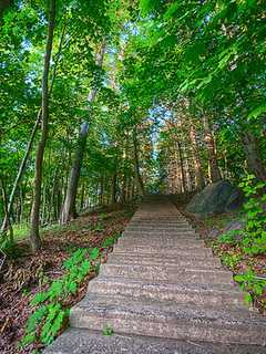 Application Deadline For Westchester Seasonal Park Rangers Upcoming