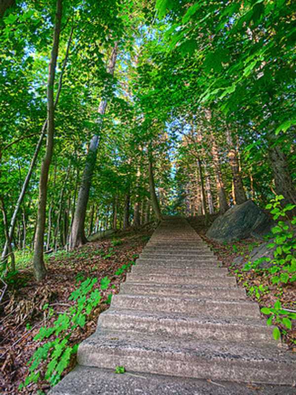 Application Deadline For Westchester Seasonal Park Rangers Upcoming