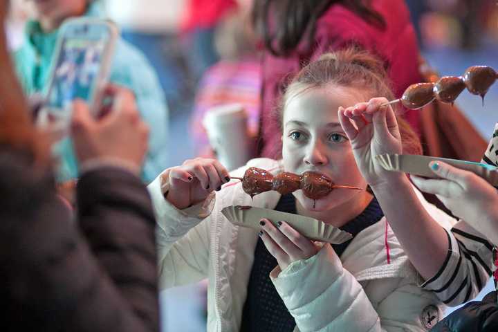 The Chocolate Expo is coming to the Maritime Aquarium on Sunday, Jan. 25 from 10 a.m. to 7 p.m.