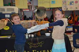 Animal Embassy Visits Students At Holmes School In Darien