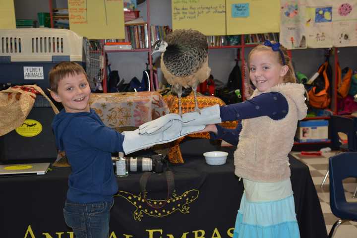 Animal Embassy Visits Students At Holmes School In Darien