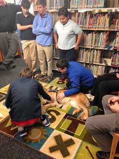 Maggie The Comfort Dog Visits The Chapel School In Bronxville