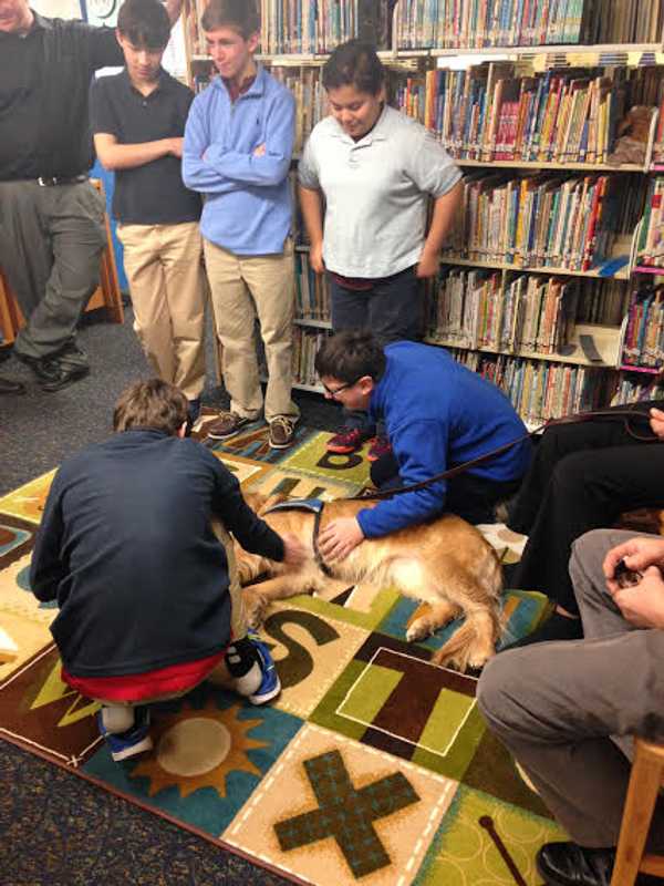 Maggie The Comfort Dog Visits The Chapel School In Bronxville