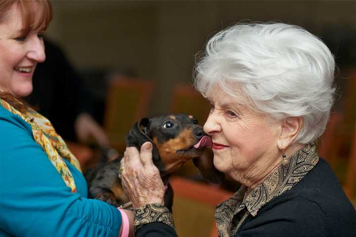 Dogs Unleash Fun For Seniors At Bridgeport's Watermark