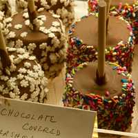 <p>The always popular chocolate covered marshmallow.</p>