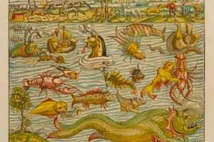 Bruce Museum Unveils Map, Sea Charts Exhibition In February