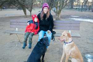Ward Acres In New Rochelle Ideal For Dog Days Of Winter