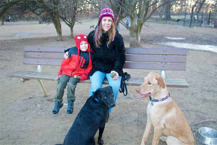 Ward Acres In New Rochelle Ideal For Dog Days Of Winter