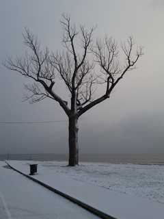 Bridgeport's Seaside Park Is Reader Submitted Photo Of The Day