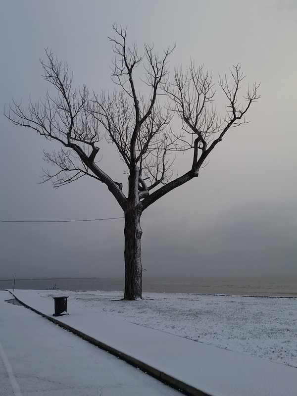 Bridgeport's Seaside Park Is Reader Submitted Photo Of The Day