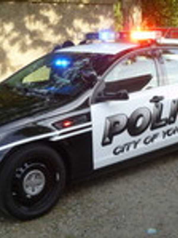 Yonkers Man Accused Of Growing Marijuana Plants Inside Home