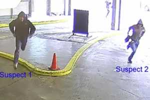 Stamford Police Release Video Of Suspects In Daytime Purse-Snatching